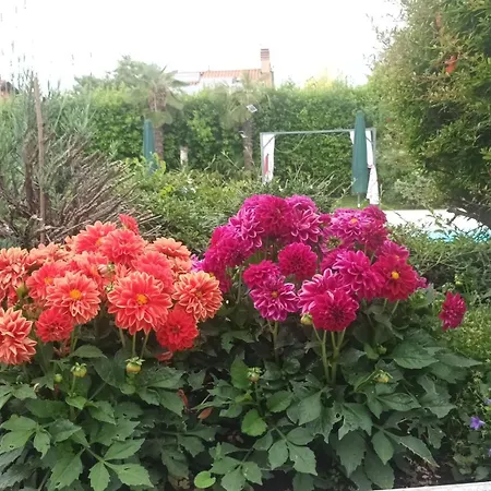 לינה וארוחת בוקר Magnolia Garda 3*